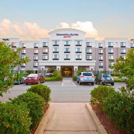 Springhill Suites Pittsburgh Mills Tarentum Eksteriør bilde